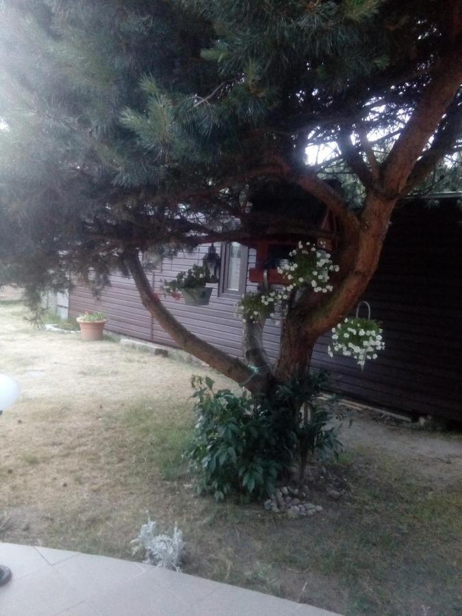 Chabrowa Perla Daire Jarosławiec Dış mekan fotoğraf